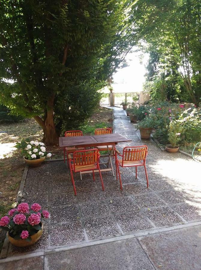 Hotel Gambisa Street Soliera Exterior foto